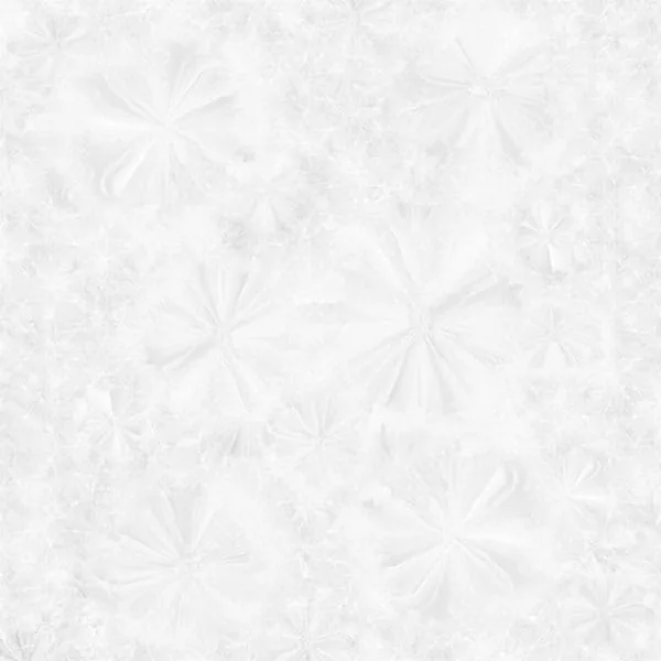 60x60 Prime 03.600600.12022