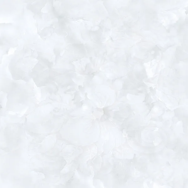 Gạch lát nền 60x60 Prime 03.600600.15623 1