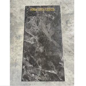 Gạch nhập khẩu Ấn Độ 60x120cm vân đá đen trắng 12203