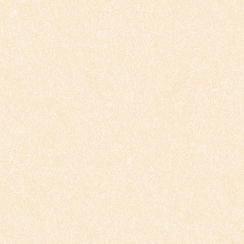 13.600600.17003