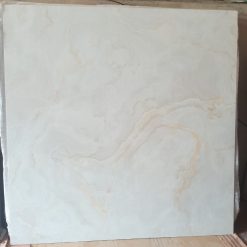 Gạch ốp lát 100x100cm Tasa 1359