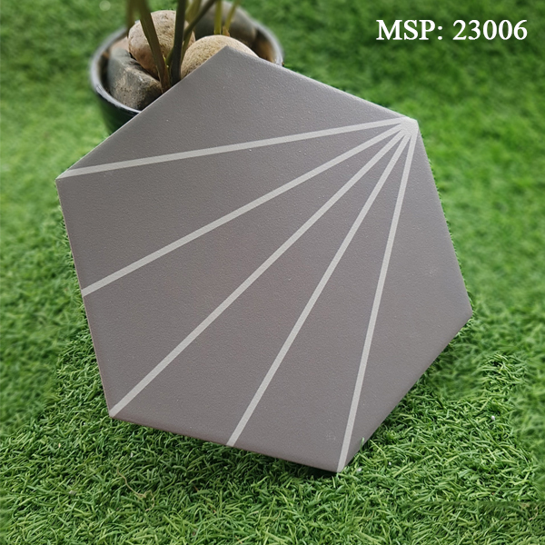 Gạch bông lát nền trang trí Trung Quốc 23006 5