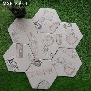 Gạch bông lát nền trang trí Trung Quốc 23011