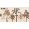 Gạch ốp tường 30x60 Vitto 2318