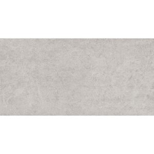 Gạch ốp lát 30×60 Đồng Tâm 3060GECKO001