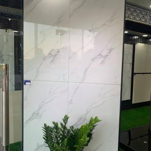 Gạch nhập khẩu Ấn Độ 60x120cm SATVARIO GRAY