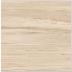 Gạch ốp lát 100x100 Hoàn Mỹ Perfetto 04.06.55503