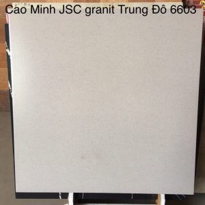 Gạch lát nền Trung Đô 60×60 MM-6603