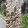 Gạch ốp lát 60×120 Catalan 1211