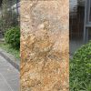 Gạch ốp lát 60×120 Catalan 1212