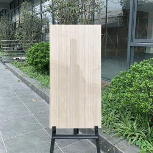 Gạch ốp lát 60×120 Catalan 1214