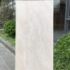 Gạch ốp lát 60×120 Catalan 1236