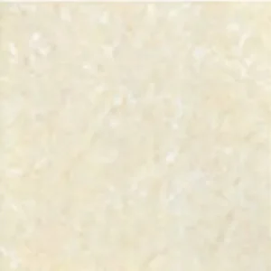 Bạch Mã HG CG50001