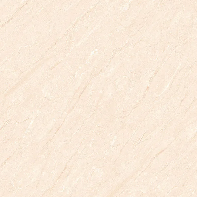 Gạch lát nền 60x60 TTC Ceramic CM66003