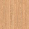 Gạch lát nền 60x60 TTC Ceramic CM66206
