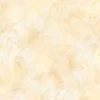 Gạch lát nền 60x60 TTC Ceramic CN66007