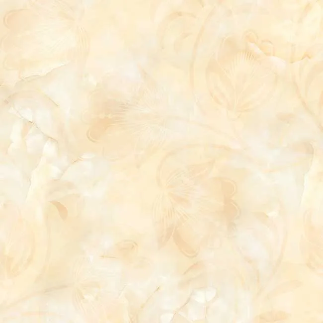 Gạch lát nền 60x60 TTC Ceramic CN66007