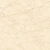Gạch lát nền 60x60 TTC Ceramic CN66009