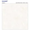 Gạch lát nền 60x60 TTC Ceramic CN66010
