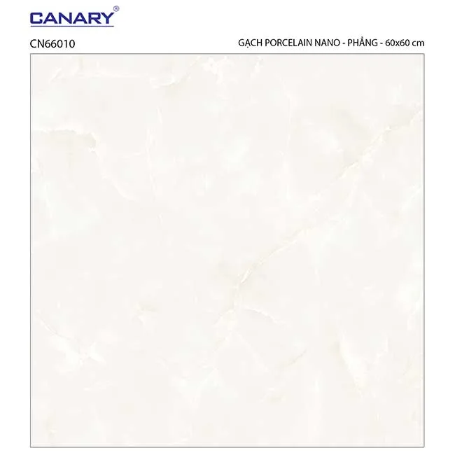Gạch lát nền 60x60 TTC Ceramic CN66010
