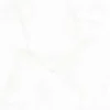 Gạch lát nền 60x60 TTC Ceramic CN66021
