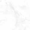 Gạch lát nền 60x60 TTC Ceramic CN66025