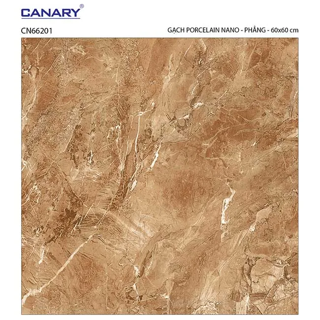 Gạch lát nền 60x60 TTC Ceramic CN66201