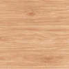 Gạch lát nền 60x60 TTC Ceramic CN66206