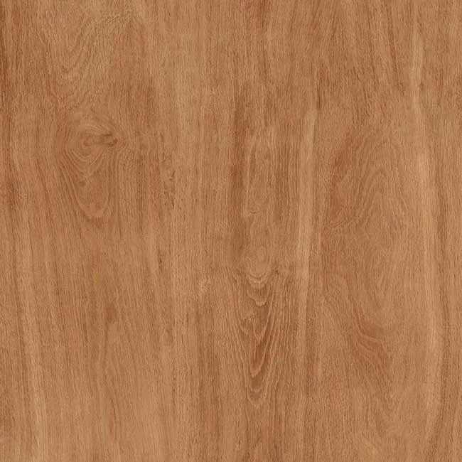 Gạch lát nền 60x60 TTC Ceramic CPM66202