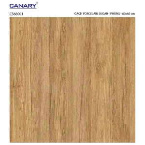 Gạch lát nền 60x60 TTC Ceramic CS66001