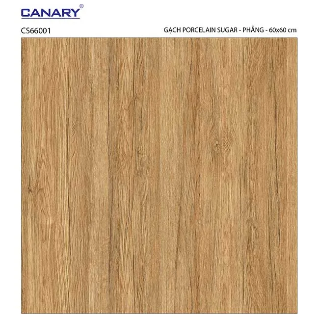 Gạch lát nền 60x60 TTC Ceramic CS66001