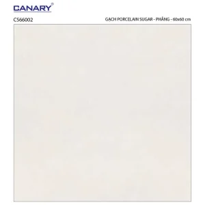 Gạch lát nền 60x60 TTC Ceramic CS66002