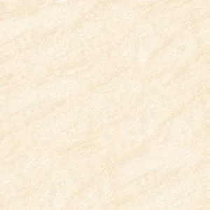 Gạch lát nền 60x60 TTC Ceramic CS66003