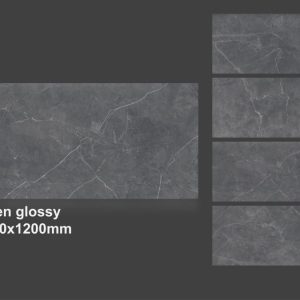 Gạch nhập khẩu Ấn Độ 60x120cm 6491