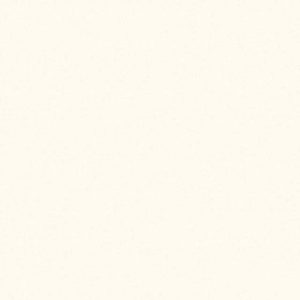 Gạch lát nền 100×100 Đồng Tâm 100DB038-NANO