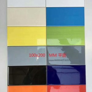 Gạch thẻ ốp tường nhập khẩu trắng 10x200mm HM-GNK018W