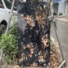 Gạch nhập khẩu Ấn Độ 60x120cm vân đá đen loang vàng HM93