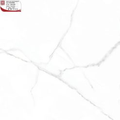 Gạch ốp lát 100×100 Hoàn Mỹ Perfetto 04.08.55008