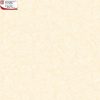 Gạch ốp lát 100×100 Hoàn Mỹ Perfetto 04.08.55009