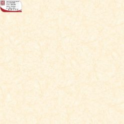Gạch ốp lát 100×100 Hoàn Mỹ Perfetto 04.08.55009