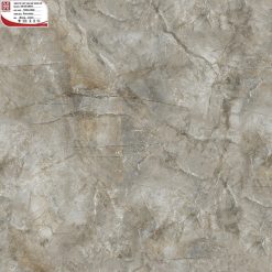 Gạch ốp lát 100×100 Hoàn Mỹ Perfetto 04.08.55011