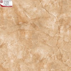 Gạch ốp lát 100×100 Hoàn Mỹ Perfetto 04.01.55012