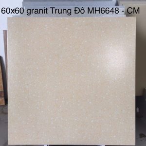 Gạch lát nền Trung Đô 60×60 MH48