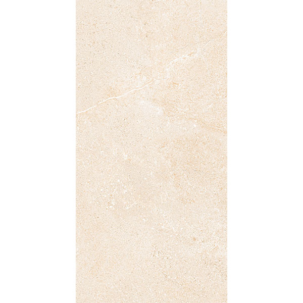 45x90 NGC I04