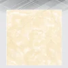 Gạch lát nền 60x60 CMC NR 6604