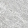 Gạch lát nền Ý Mỹ 600x600 P65011C
