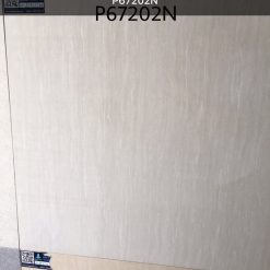 Gạch ốp lát Taicera TKG 60×60 P67202N