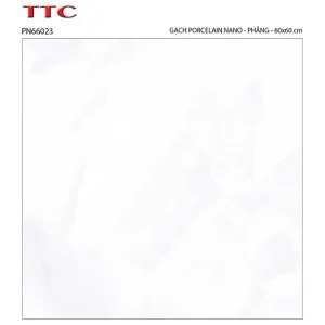 Gạch lát nền 60x60 TTC Ceramic PN66023