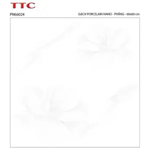 Gạch lát nền 60x60 TTC Ceramic PN66024