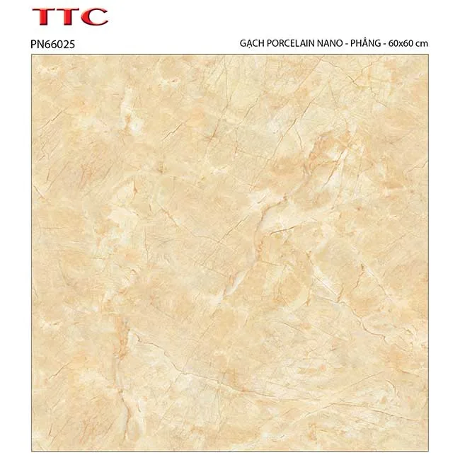 Gạch lát nền 60x60 TTC Ceramic PN66025